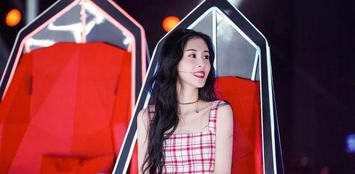 好声音 网红歌手是谁,网络红人华丽转身，舞台绽放光芒